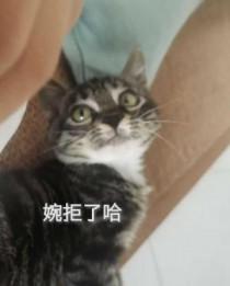 亚克1台词