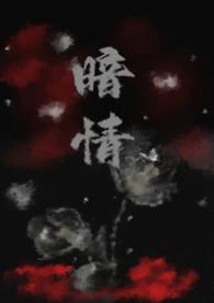 南诏王妃冷君宠妃